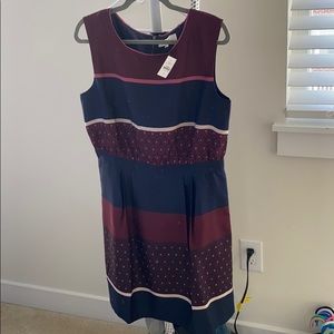 NWT Loft Dress